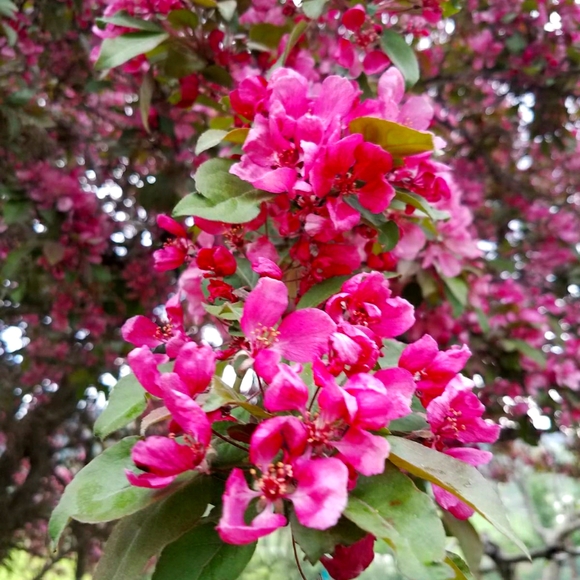 Meet your Posher, Anjali - Picture 2 of 2